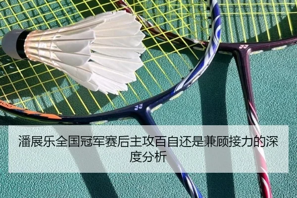 潘展乐全国冠军赛后主攻百自还是兼顾接力的深度分析